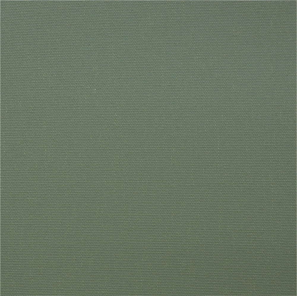 ОМЕГА 5853 зеленый, 250 см